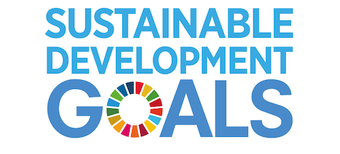 The 17 Sustainable Development Goals